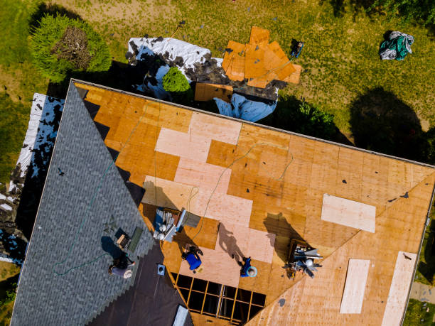 Best Roof Repair Estimates  in Trezevant, TN