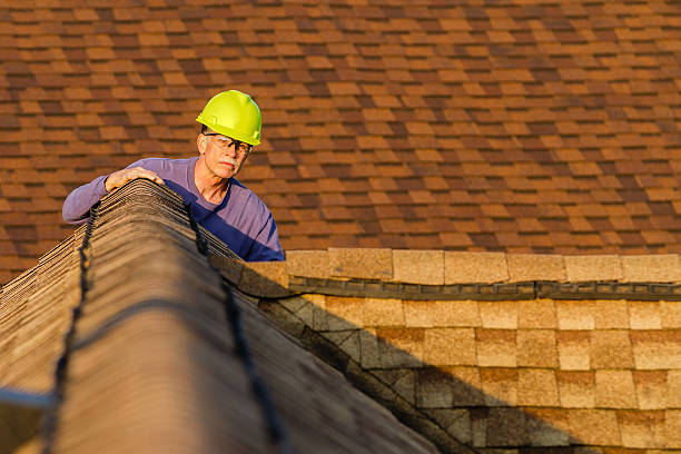 Best Roof Inspection Near Me  in Trezevant, TN