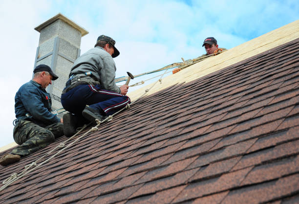 Best Roof Leak Repair  in Trezevant, TN